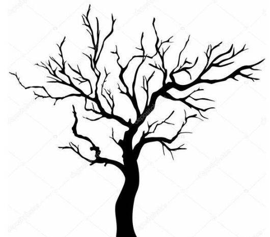 分享一些树木的绘画素材资料让你画树得心应手