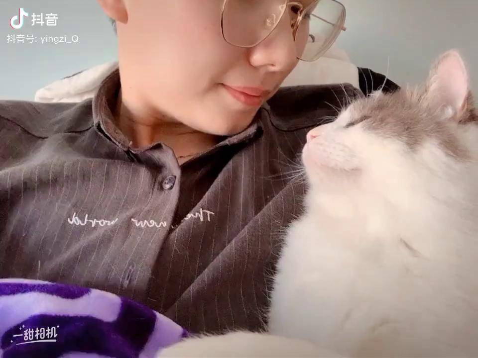 q宝过一会儿就要亲一口好告诉大家这个铲屎官是我的萌宠成精了