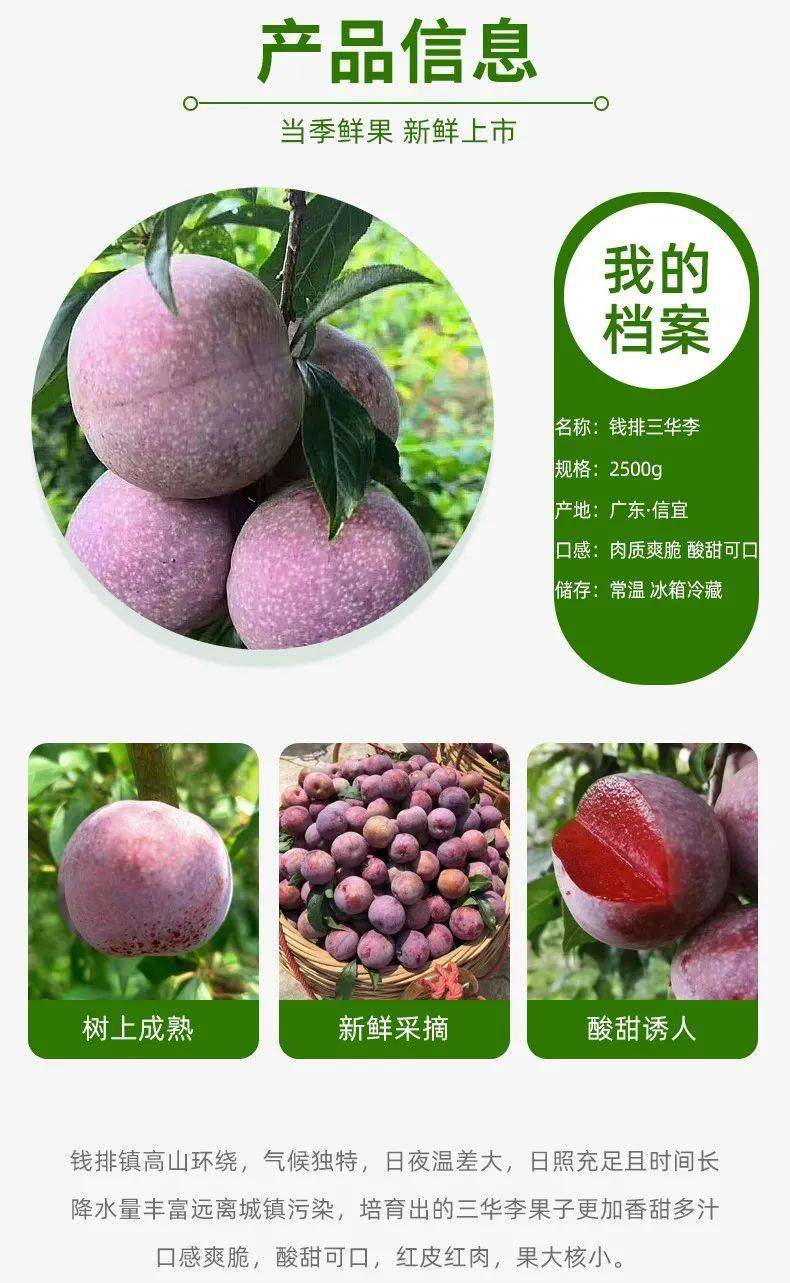 【钱排三华李】信宜钱排银妃三华李,果园新鲜现摘直发,顺丰包邮!