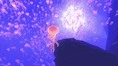 海底世界惊现海阳万张门票全城任性送