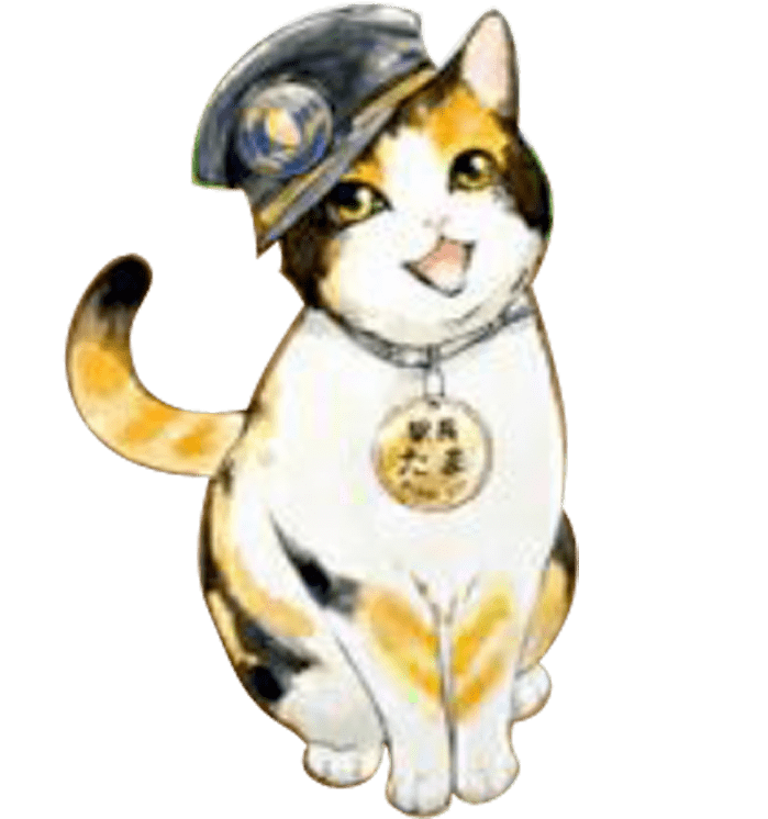 06e72a0665424338a78a29d546a4e15f.png