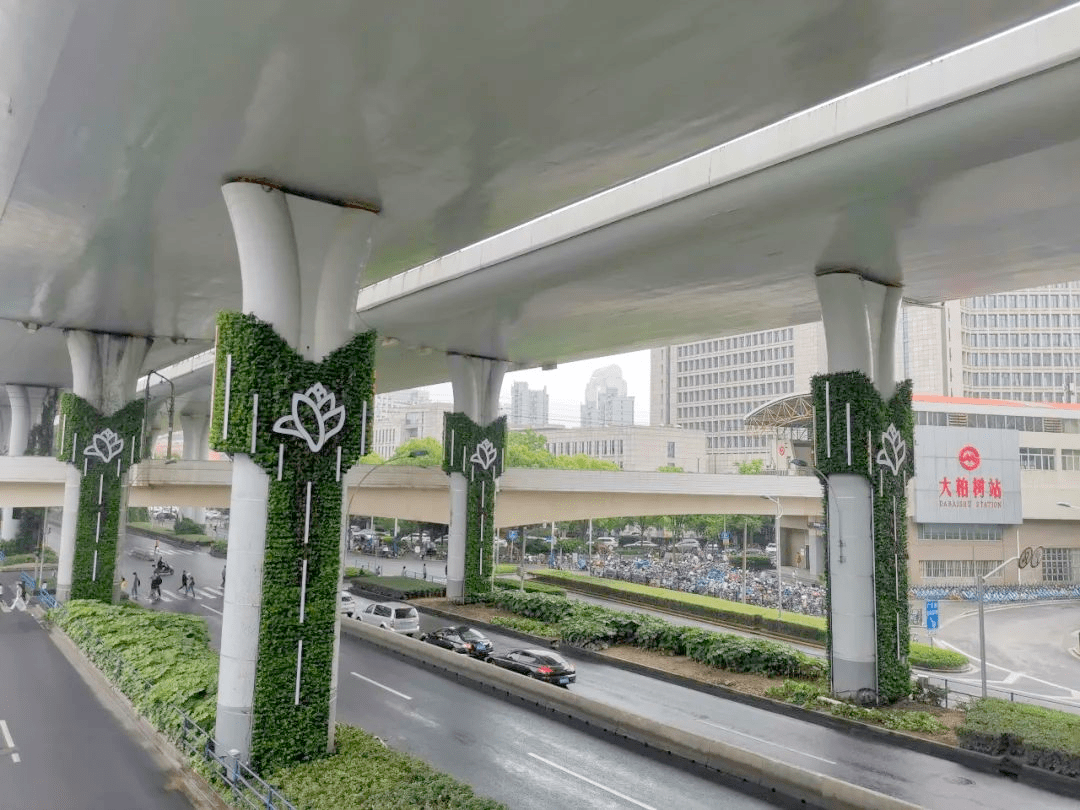 虹口中环线桥柱华丽"变装",高架桥柱上市花白玉兰"绽放"