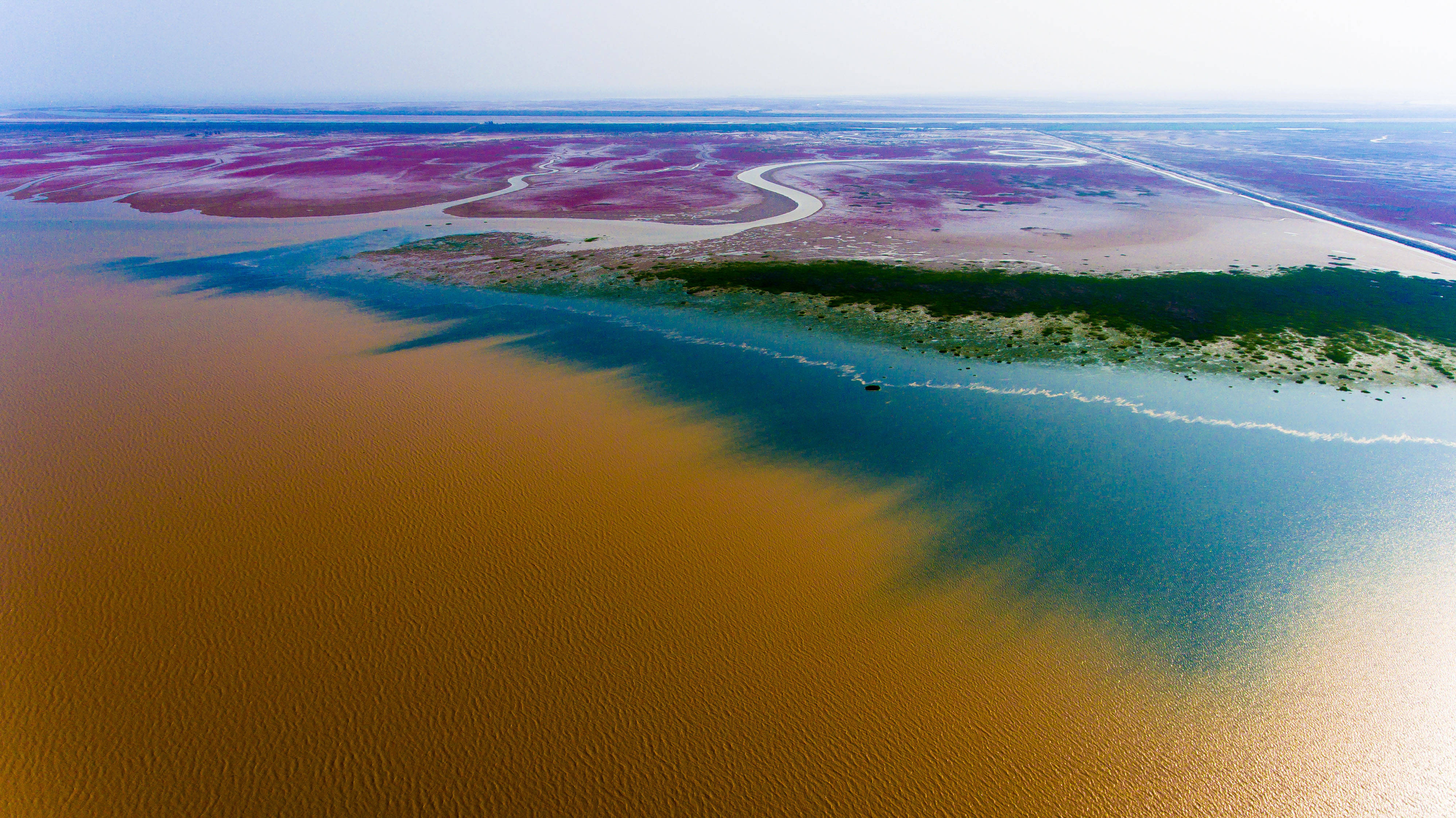 黄河入海口生态旅游区图片