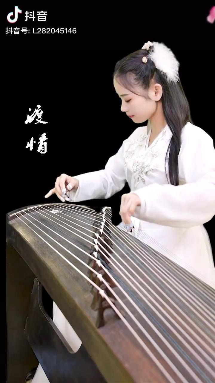 有缘千里来相会渡情渡情古筝版雷雷古筝
