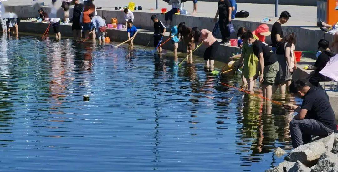 生态城南湾公园是否禁止钓螃蟹官方最新回复来了