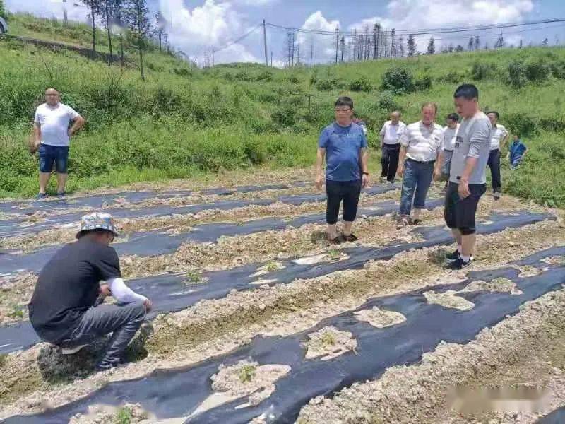 時訊劍河縣政協到磻溪鎮高壩村開展我為群眾辦實事主題活動