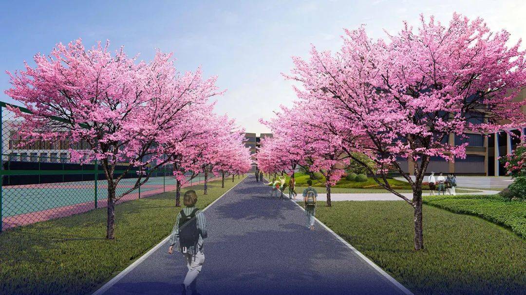 樱花大道效果图