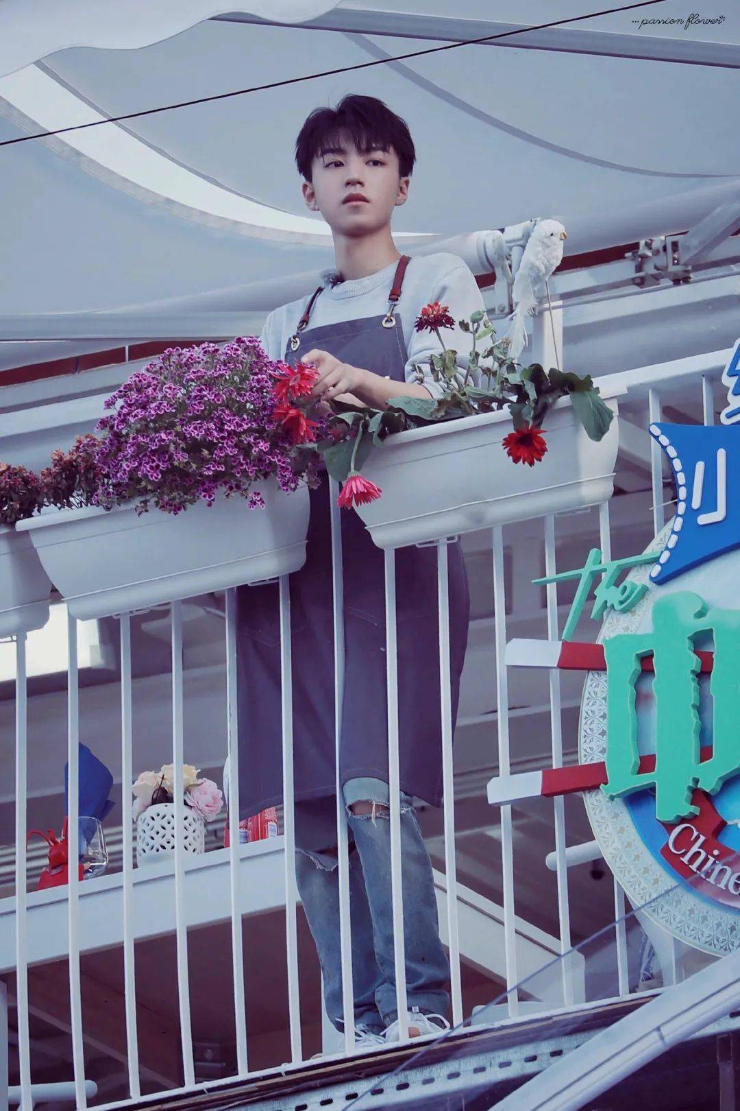 王俊凯【那年今日】6月10日