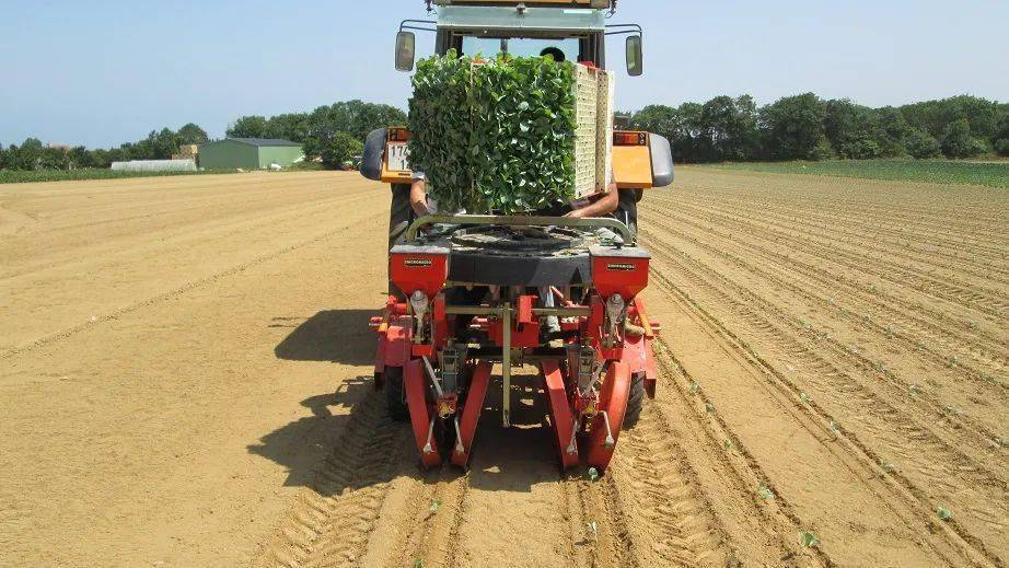 秧苗移栽机要火了这个省补贴比例提高到35