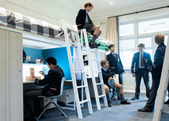 民办高中排行_新鲜出炉!常州10大民办中学摇号录取名单公布!