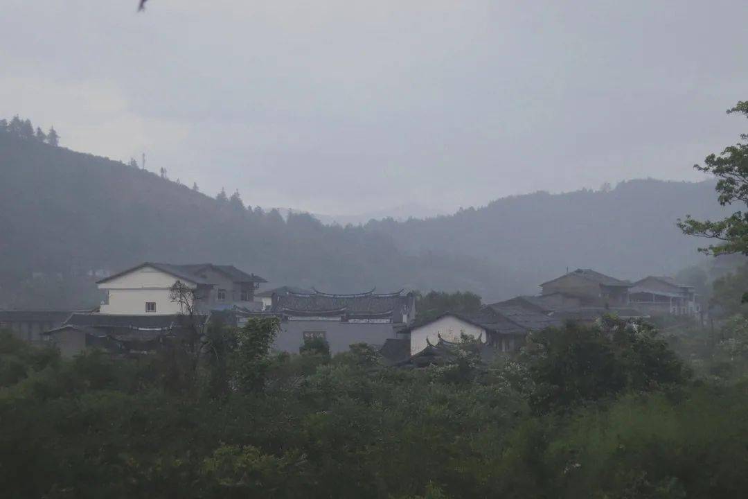 d30afe2772574f5c904b804e11faa9d3.jpeg