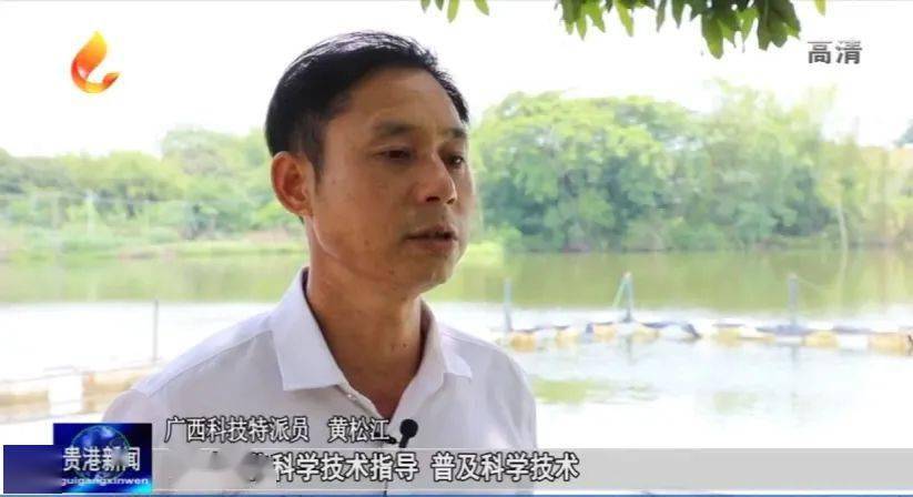 桂平市木圭镇:特色产业发展为乡村振兴添亮色
