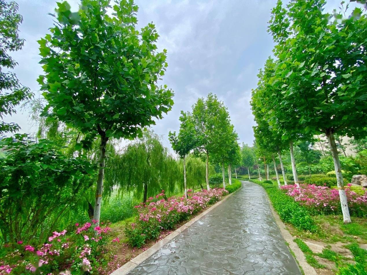 雷雨后,白沙河体育公园美不胜