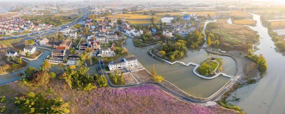 美丽城镇嘉兴日报点赞嘉兴科技城大桥镇着眼高质量发展实现三生融合同