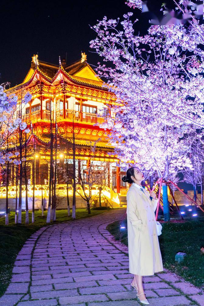 萌娃赏花记|"樱"你相约在江苏盐城大洋湾的春光里_樱花