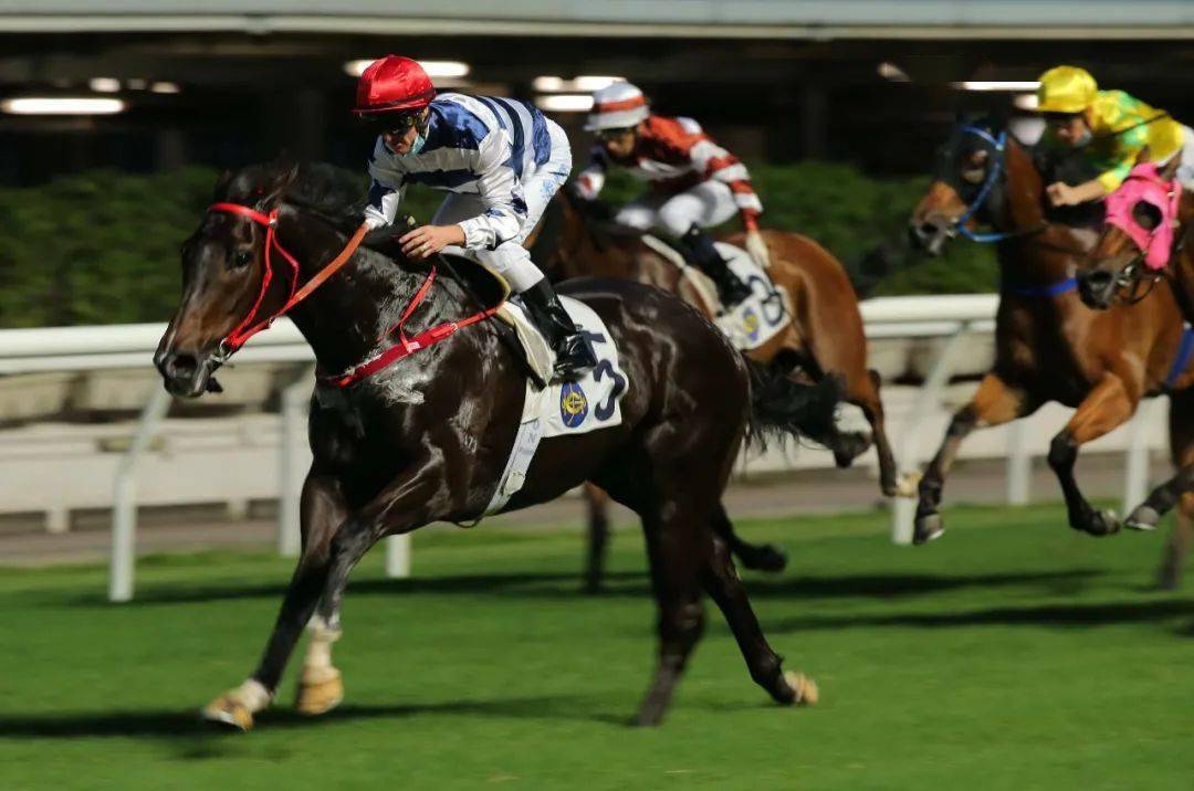 跑马地赛事田泰安快活谷叱咤风云