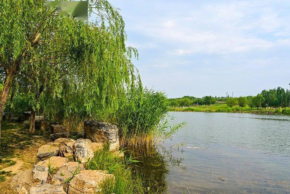 好一處江南水鄉就在馬家灣溼地公園別有景緻