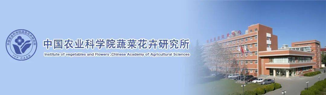 最新岗位中国农业科学院蔬菜花卉研究所2021年度第二轮公开招聘公告