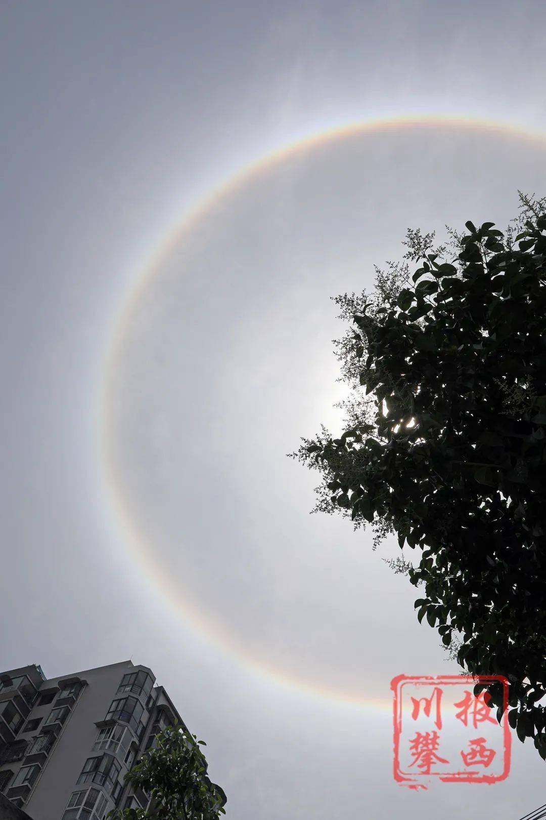 高清大图丨美翻了西昌上空出现日晕奇观太阳似戴七彩花环