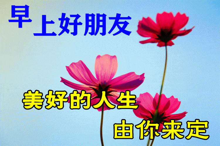 6月11日最漂亮早上好动态表情图片大全,早晨好动图美图大全