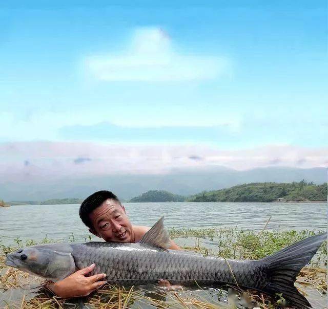 钓鲫鱼用几号钩最佳野钓 4a9de93ddb1947f3bc6a943c07dfd4fb.jpeg