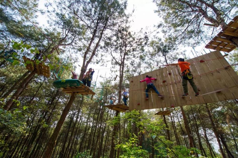 图源 | 渝北文旅 地址:渝北玉峰山国家森林公园 路线:市区—海尔路