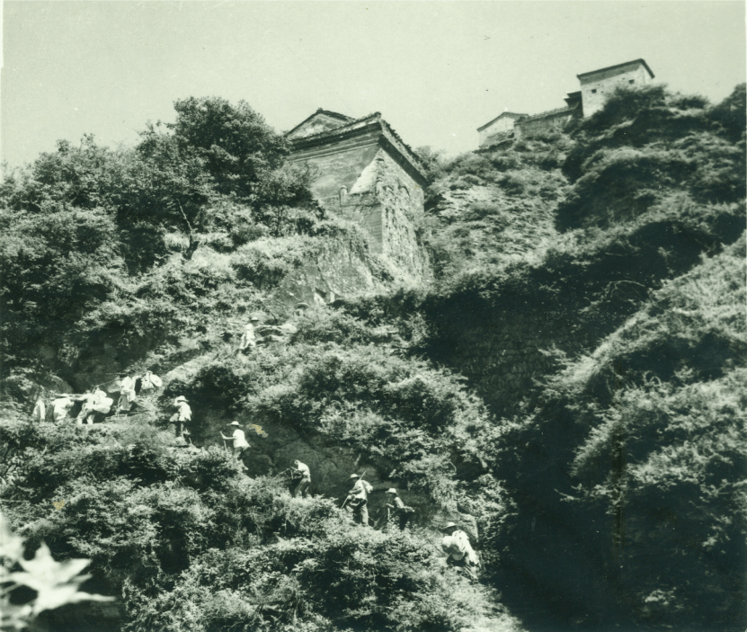 【文化自然遗产日】沧桑巨变六十年 武当山文物管理事业的成就与辉煌