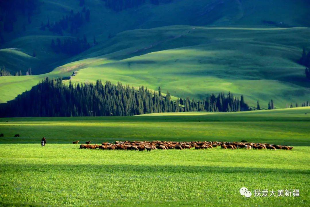 当博州人看到这片草原天堂画卷美爆了