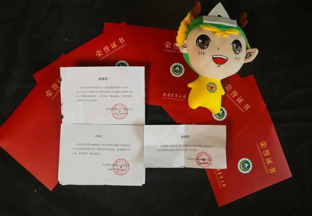 这是表明你决心的纸——入党申请书看似普通的双线稿纸书写着庄重的