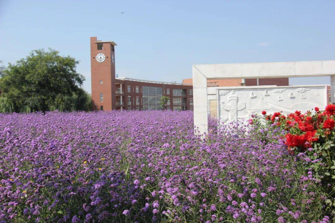 中学体育教案模板范例_中学体育优秀教案_中学体育教案模板范文