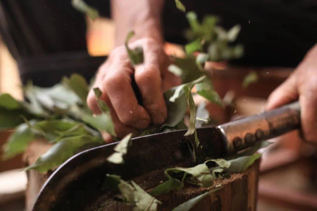 作为松阳民间的传统茶饮,端午茶,被誉为"百草茶"或"万能茶",2009年