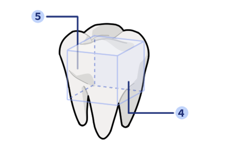 只用牙刷有5个面是外露的人的牙齿除底面外你的牙齿其实从未干净过?