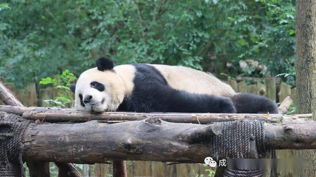 快来斧头山开"趴"踢啦