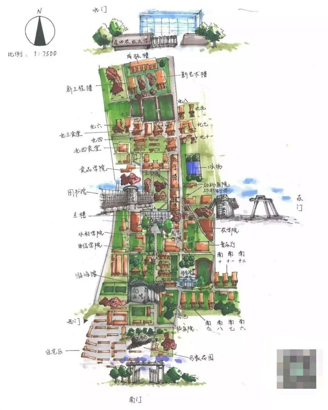 怎么在学校藏吃的 32cae49f1eb641f19570d7ca334c7774.jpeg