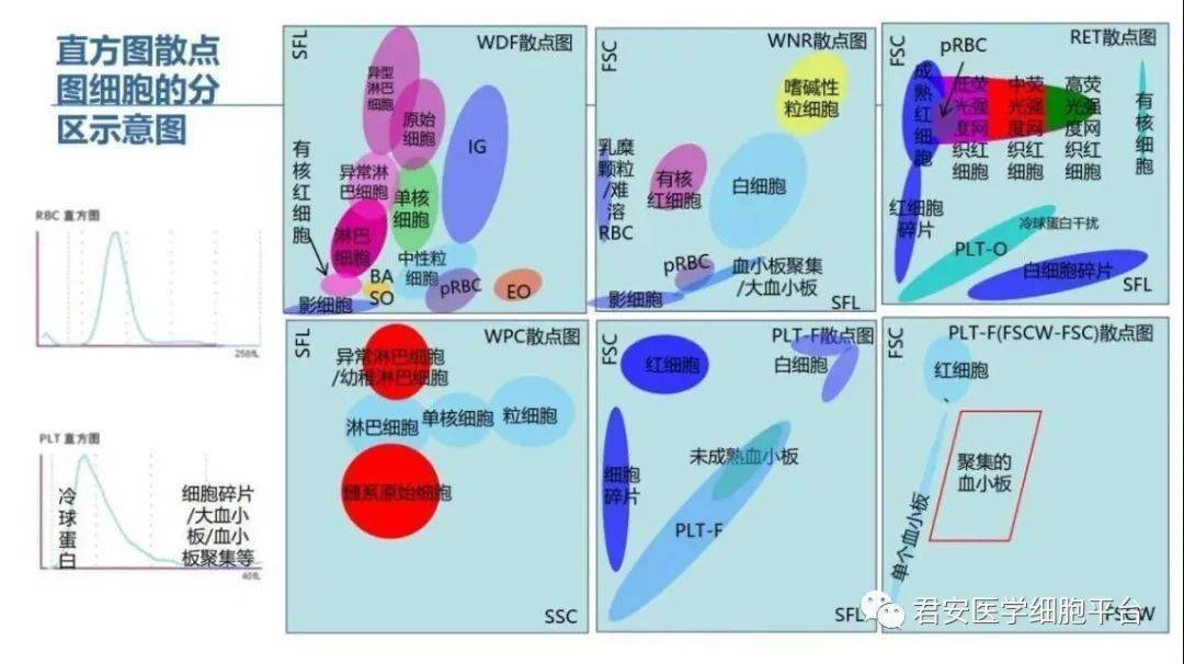 记一例edta导致的血小板卫星现象