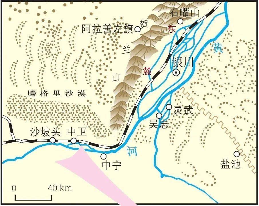 擴展賀蘭山的葡萄為什麼斜向種植