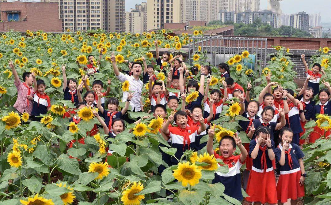 重庆星湖学校图片
