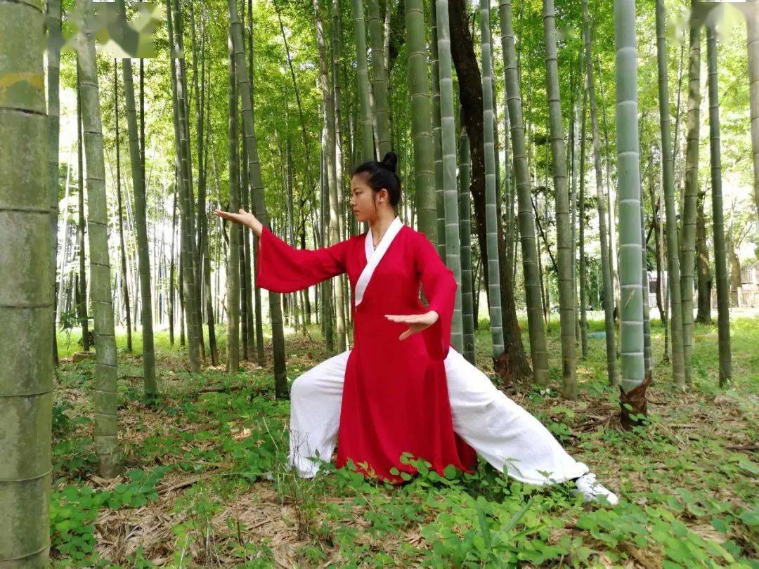 为什么要慢练太极,说得太明白了!