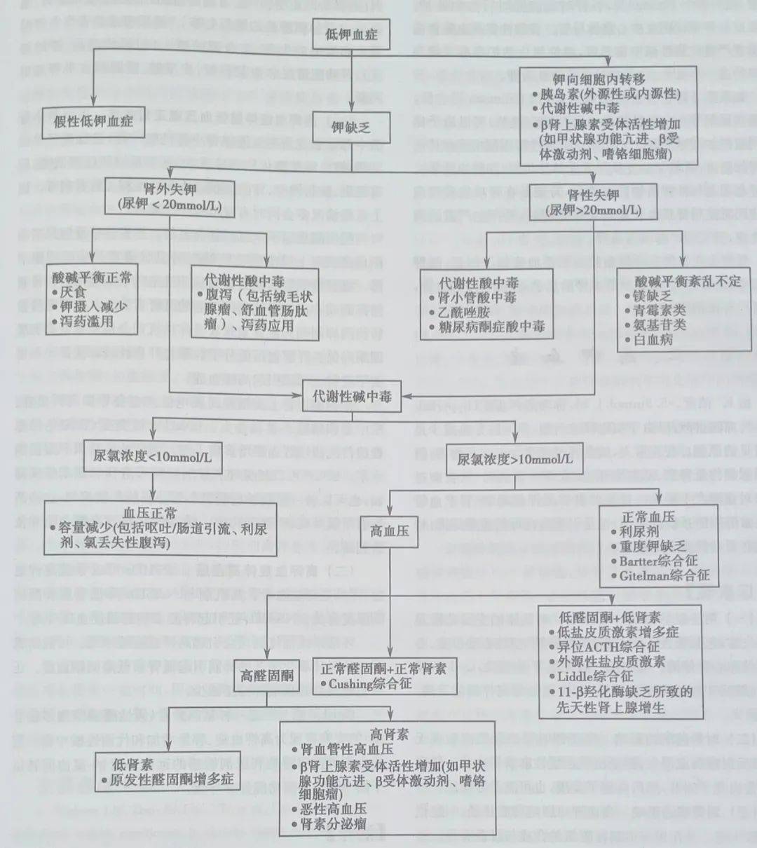 G蛋白可使GDP活化为GTP_细胞生物学的介绍