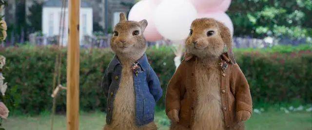 正在热映社畜能量包萌兔天团来袭治愈你的不开心