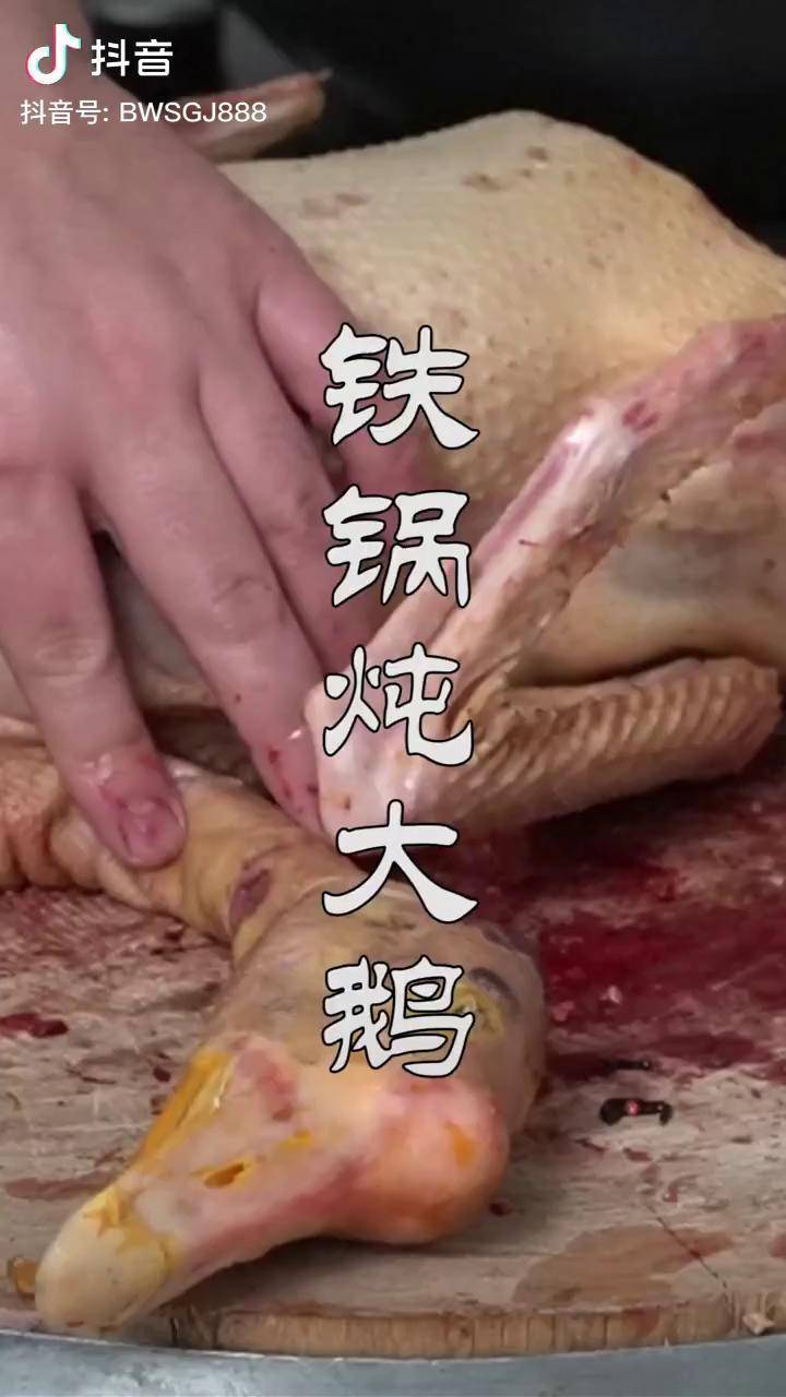 东北一落雪就该吃大鹅了10斤的大鹅炖上1个小时那味道是真香我要上
