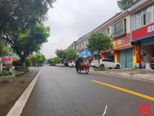 点名表扬!东坡区复兴镇长效治理方面效果明显,镇容镇貌秩序井然