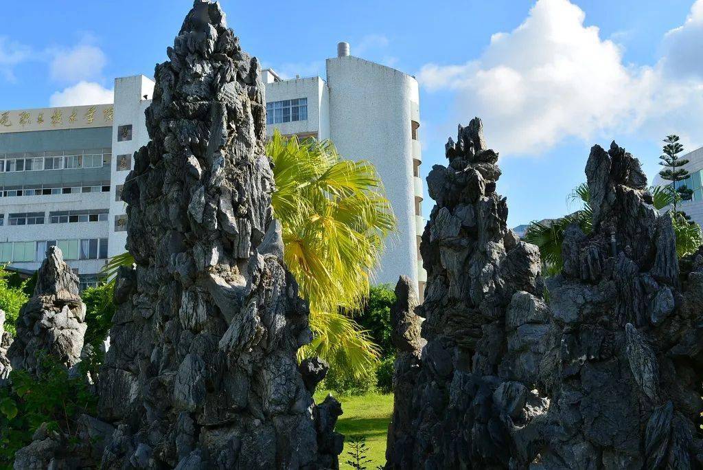 汕尾第二所本科大学要来了吗?