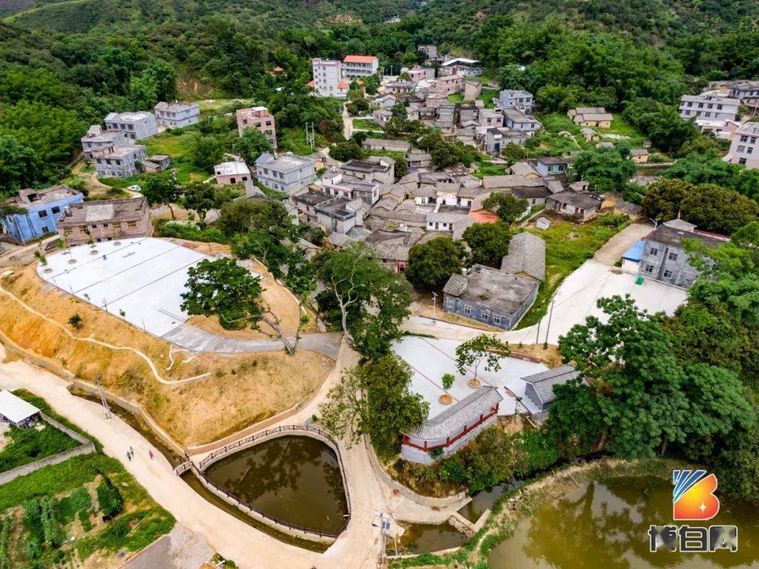 探秘博白这个村不仅盛产荔枝村民还像神一样供奉着一位民族英雄