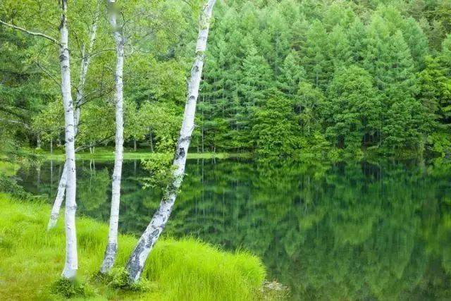 红尘中的碧玉世界,超治愈!