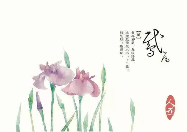 【郁金花 治心胸见恶气鬼鬼疰.还可做各种香药.