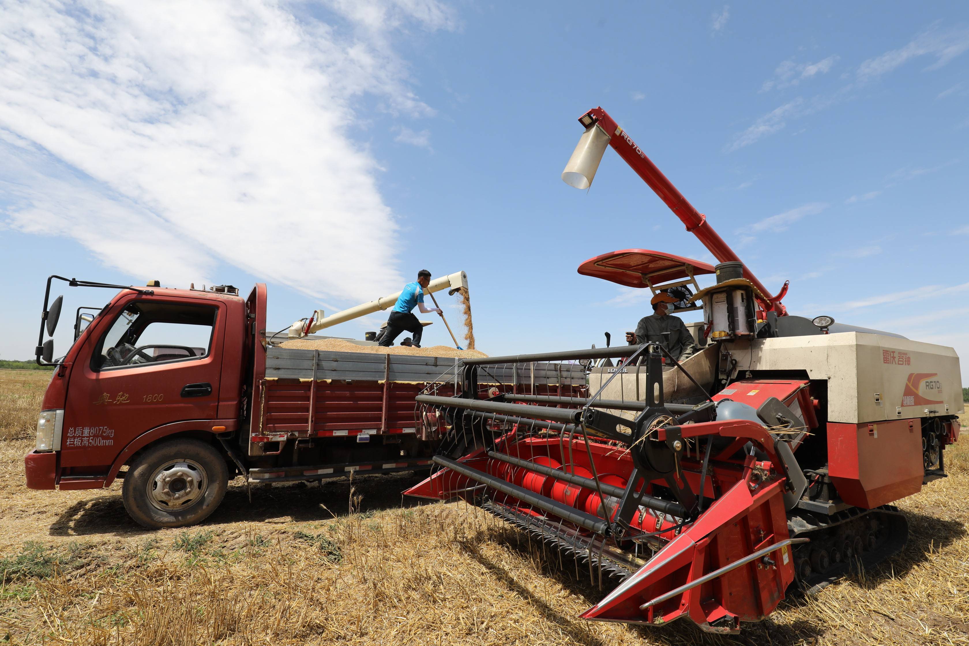 随收随播忙"三夏"