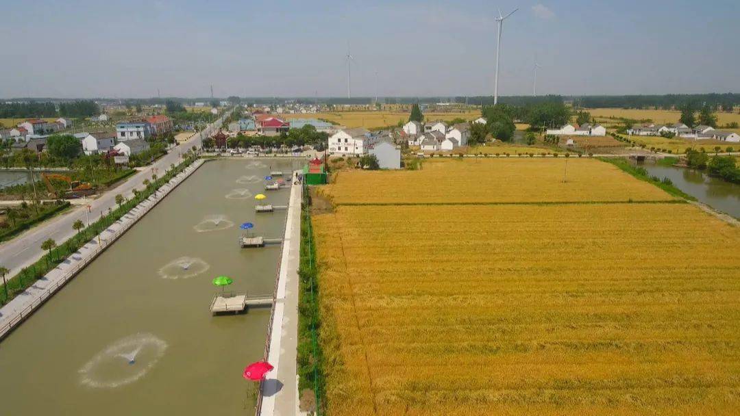 宝应西安丰镇真美