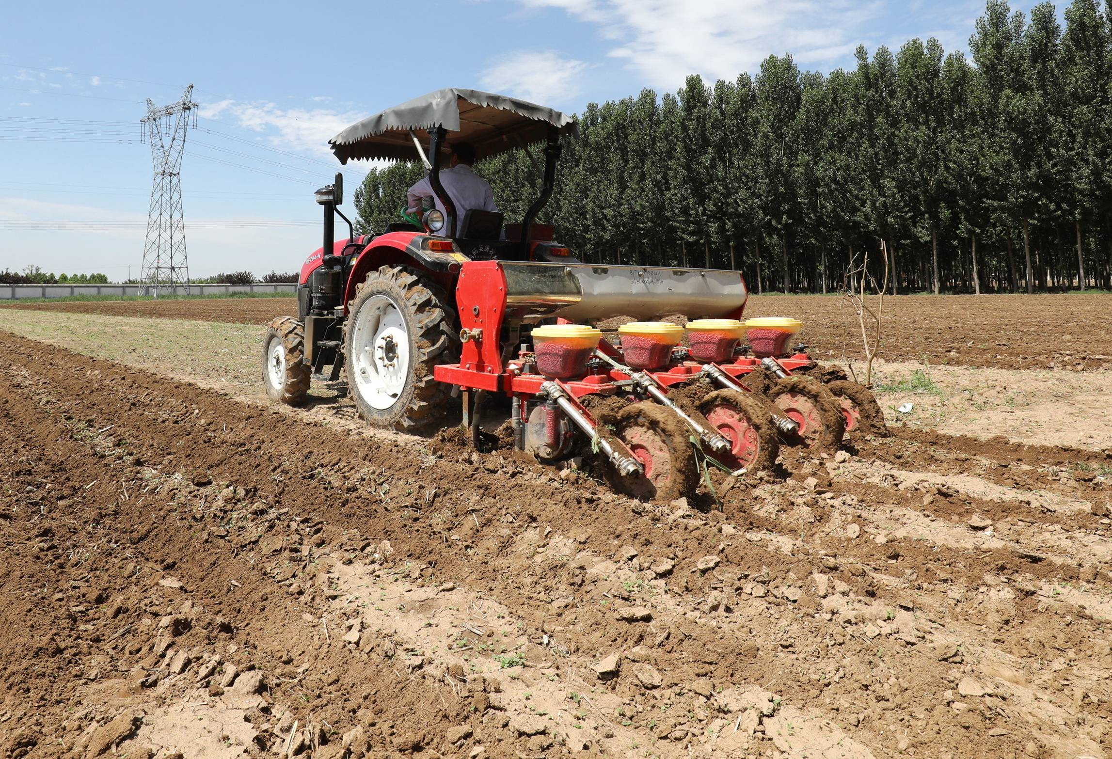 6月18日,河北省河间市景和镇欢留村农民在播种玉米.