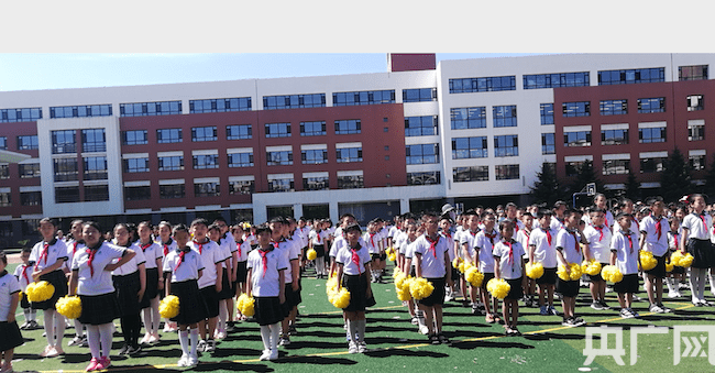 绿园小学:庆祝建党百年系列主题活动